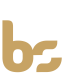 bs-n-02 bs-n-02